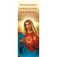 Baner Najświętsze Serce Maryi "Pod Twoją obronę uciekamy się"