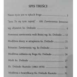 Jezu Ty się tym zajmij - modlitewnik