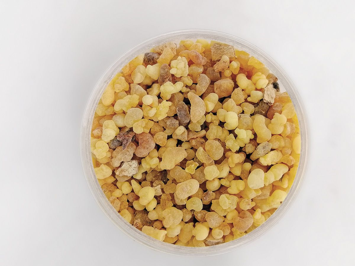 Kadzidło naturalne olibanum - Pea Size 100 g