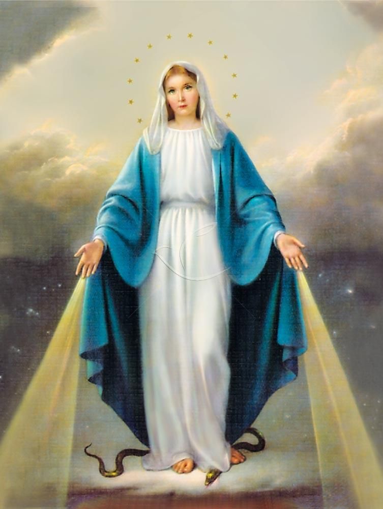 Obraz 30x40 - Matka Boża Niepokalana