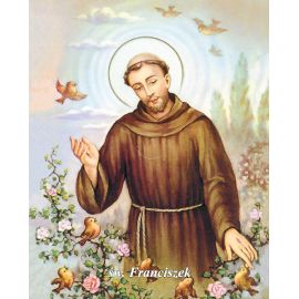 Obrazek 20x25 - Św. Franciszek - OBRAZY RELIGIJNE - Nowość