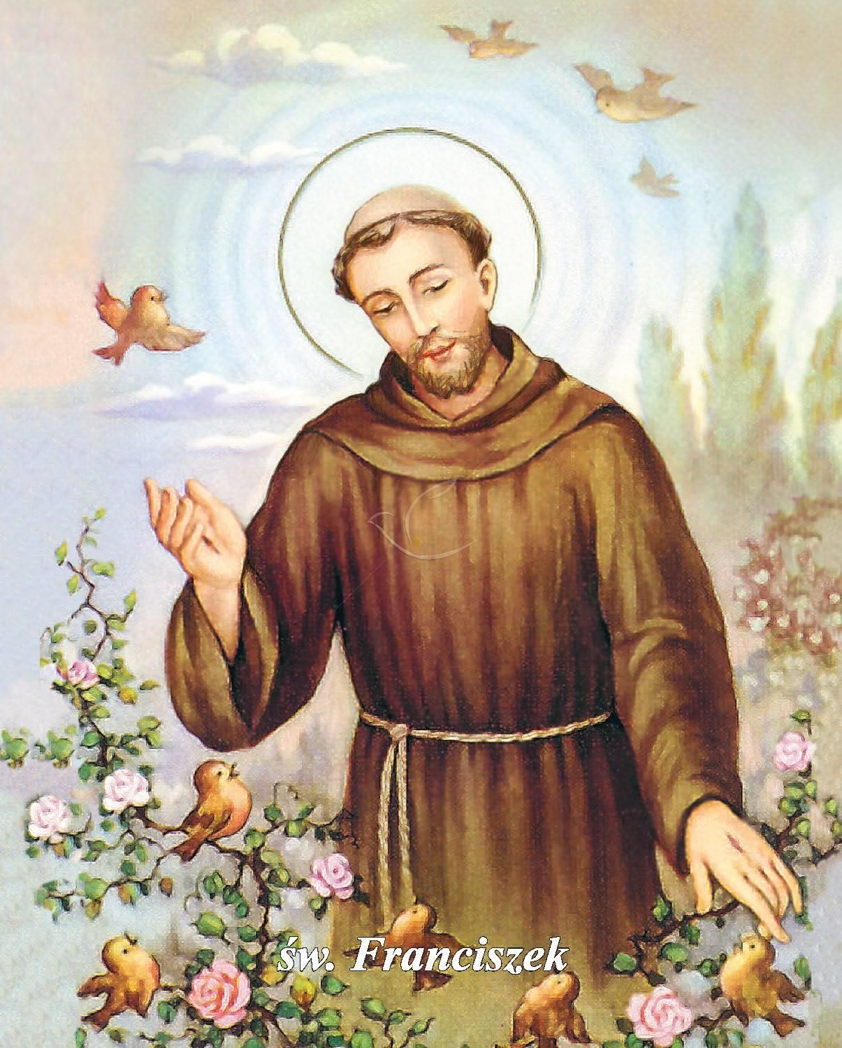 Obrazek 20x25 - Św. Franciszek