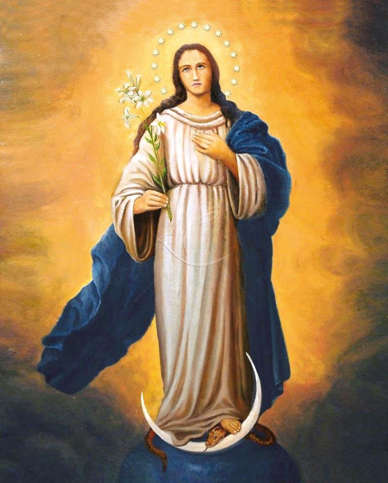 Obrazek 20x25 - Matka Boża Niepokalana (2)