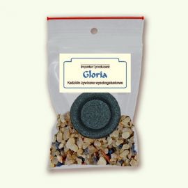 Gloria - pakiet jednorazowy - zdjęcie 1 - Gloria - pakiet jednorazowy