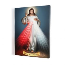 Obraz Jezus Miłosierny - płótno canvas (2) - Obrazy na płótnie canvas - Nowość
