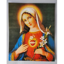 Serce Maryi - Obraz do oprawienia format (20x25) - nr 2 - OBRAZY RELIGIJNE - Nowość