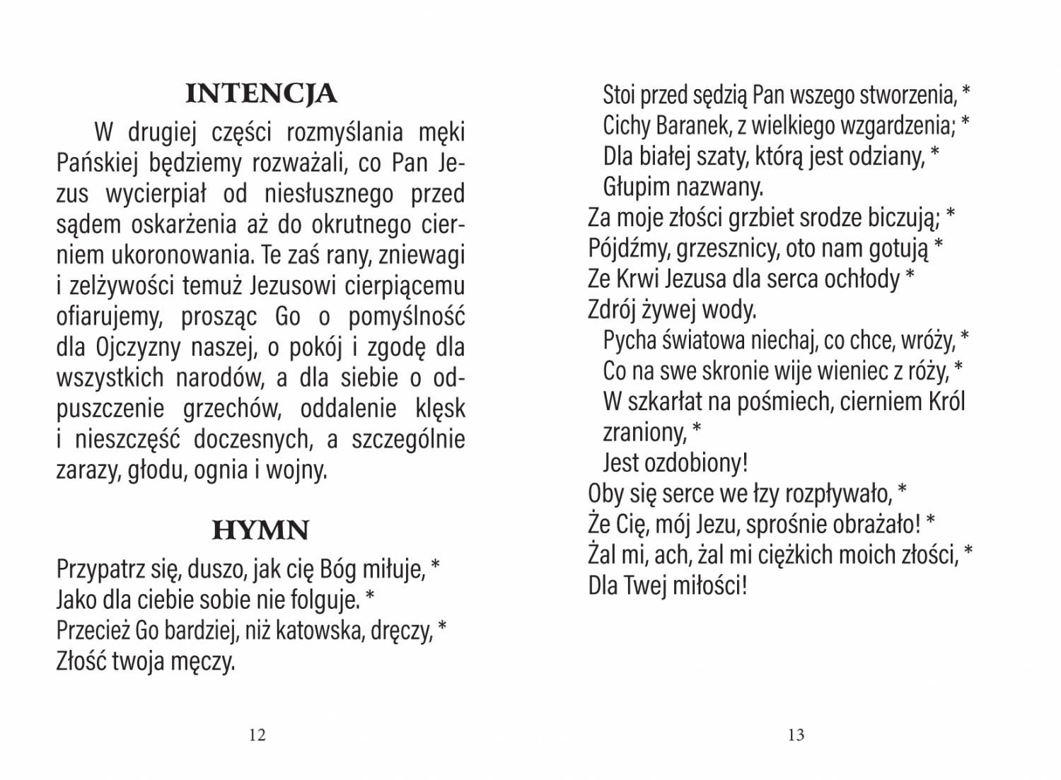 Książeczka - Gorzkie Żale - zdjęcie 2 - Książeczka - Gorzkie Żale