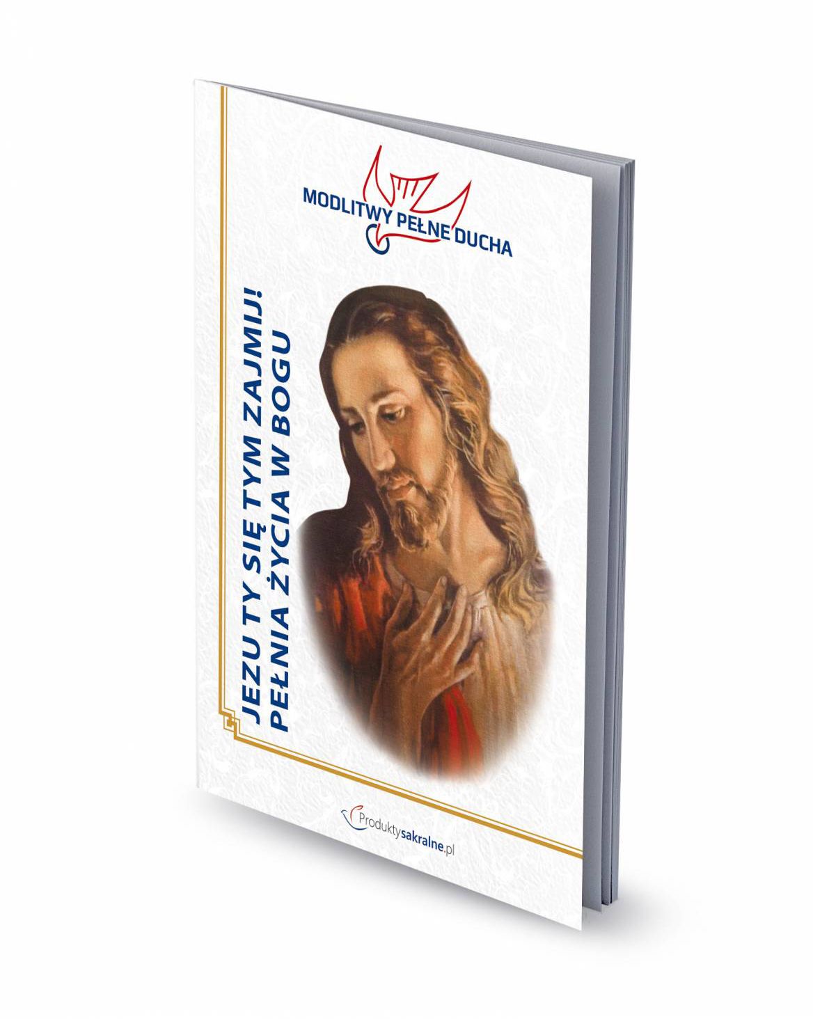 Jezu Ty się tym zajmij - modlitewnik