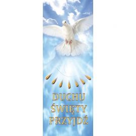 Baner - Duchu Święty Przyjdź