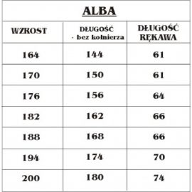 Alba kapłańska lniana - srebrna wstawka - zdjęcie 2 - Alba kapłańska lniana - srebrna wstawka