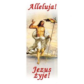 Baner Wielkanocny (2) - WIELKANOC - Nowość