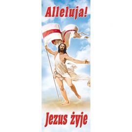 Baner Wielkanocny (10) - WIELKANOC - Nowość