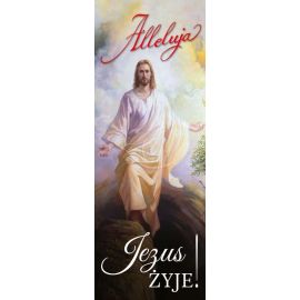Baner Wielkanocny (29) - WIELKANOC - Nowość