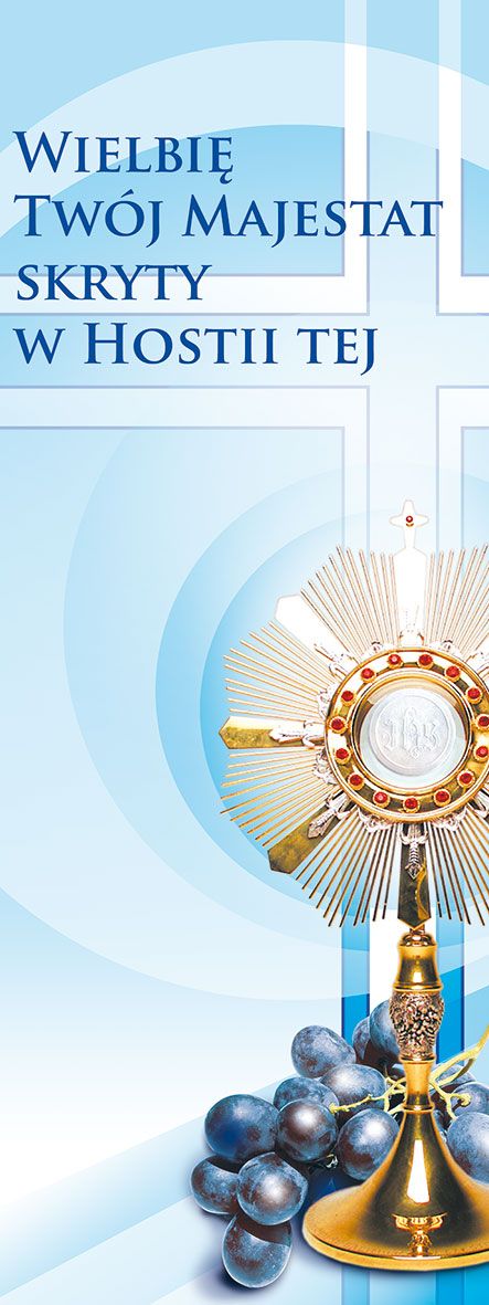 Baner Boże Ciało (28)