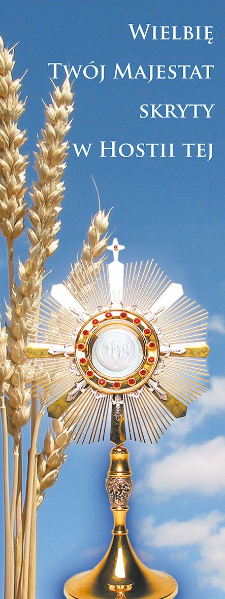 Baner Boże Ciało (31)