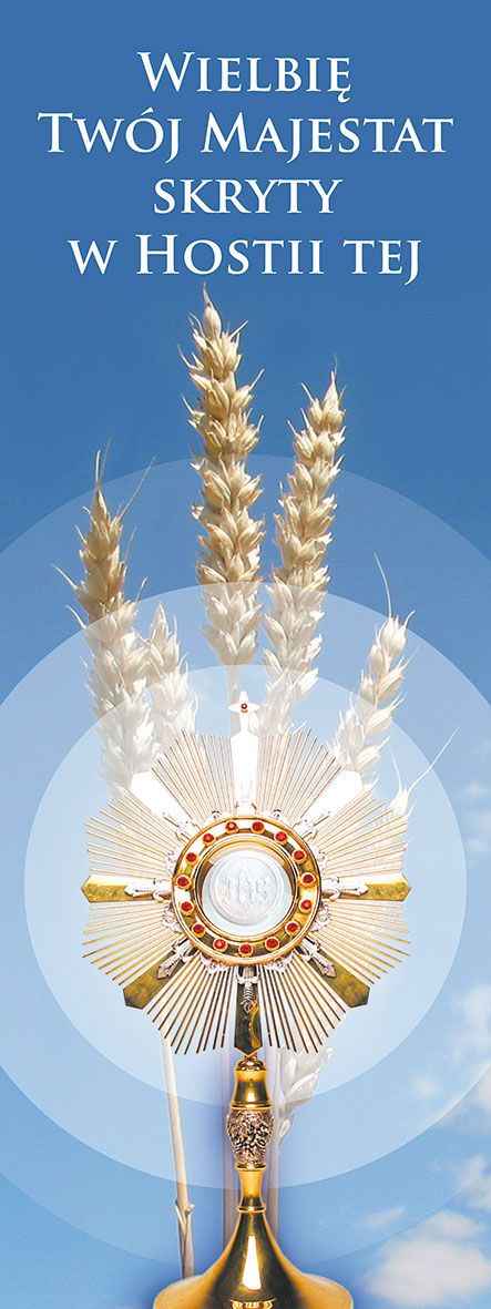 Baner Boże Ciało (32)