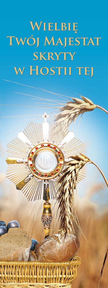 Baner Boże Ciało (36)