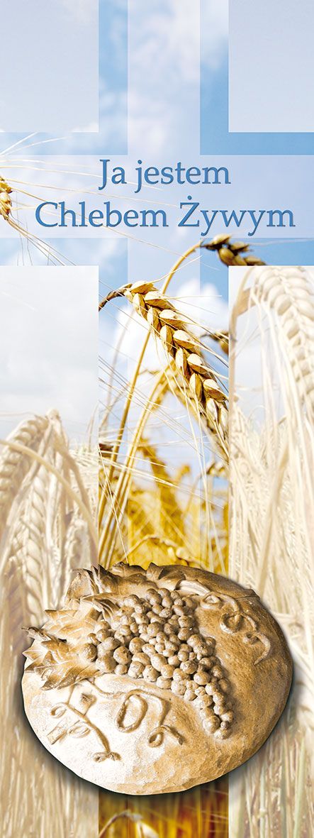 Baner Boże Ciało (37)