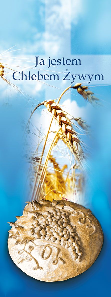 Baner Boże Ciało (38)