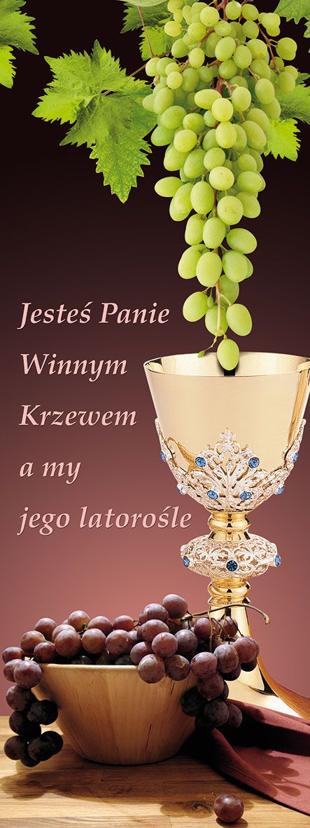Baner Boże Ciało (40)