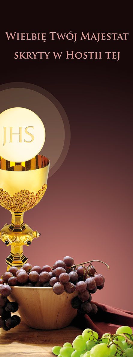 Baner Boże Ciało (41)