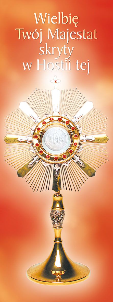 Baner Boże Ciało (43)