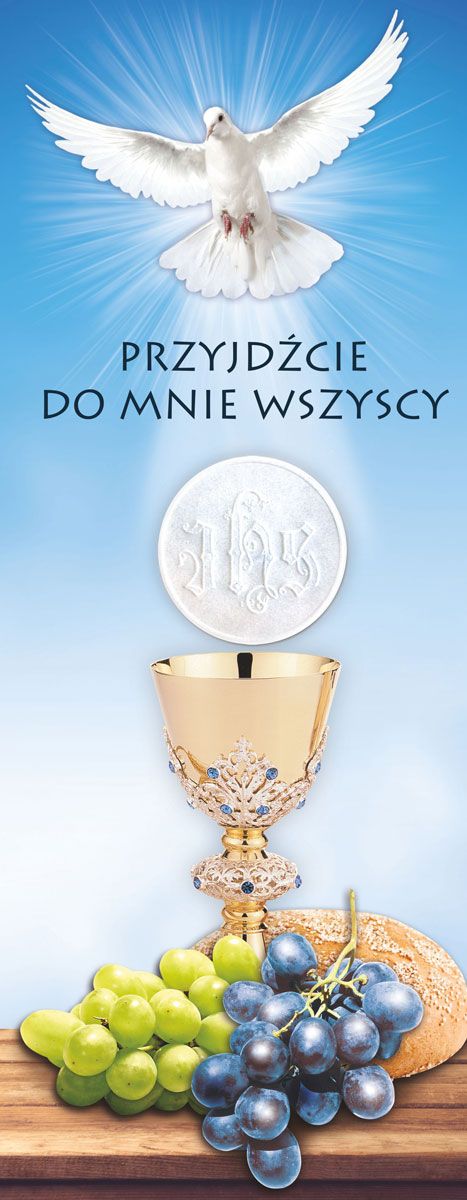 Baner Boże Ciało (61)